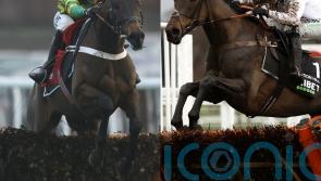 Constitution Hill and Epatante poised for mouthwatering Newcastle clash