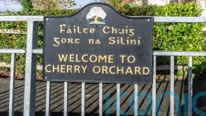 Government sets up group to &lsquo;intensify&rsquo; support for Cherry Orchard