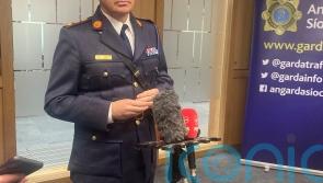 Legislation for gardai body-worn cameras will address civil liberties concerns