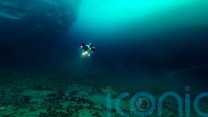 Scientists make new discovery in Antarctica