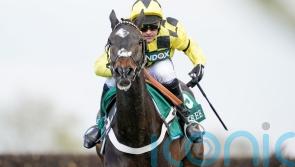 Shishkin highlights seven hopefuls for Tingle Creek clash