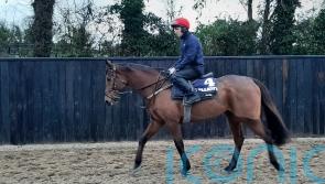 Galvin to spearhead Gordon Elliott&rsquo;s Christmas team