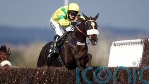 Bailey thrilled with Happygolucky return