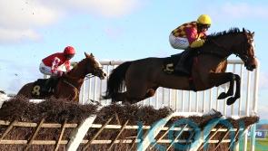 Dixon Cove keeps up perfect record since moving to Britain