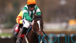 Authorised Speed overcomes last-flight scare to shine at Sandown