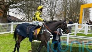 Henderson will step Shishkin up in trip after Tingle Creek reverse