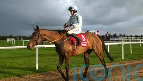 Honeysuckle team regroup after shock first defeat