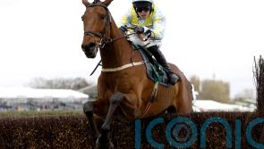 Hales planning distance move for Millers Bank