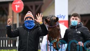 Ronan McNally &lsquo;deeply disappointed&rsquo; by IHRB findings