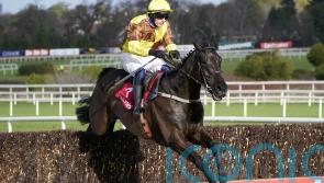 Galopin Des Champs poised for Durkan return