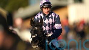 Credrojava shines on Fontwell hurdles bow