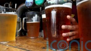 Researchers find elusive European parent of lager yeast in Ireland