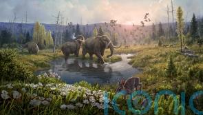 New discovery: Scientists identify world&rsquo;s oldest DNA