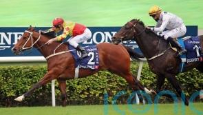 California Spangle scuppers Golden Sixty&rsquo;s hat-trick bid