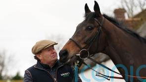 Henderson hoping International is rescheduled for Epatante