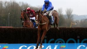 Secret Reprieve &rsquo;50-50&prime; to tackle Welsh National challenge