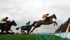 Neil King happy to wait with Lookaway until stable starts firing