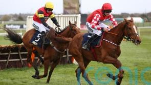 Knight Salute likely to miss rest of the season after &lsquo;severe setback&rsquo;