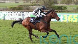 Merlin could prove magic for John Quinn and Imperial Racing