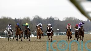 Further inspection called for meeting at Lingfield