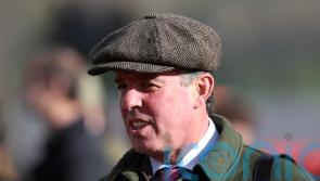 Il Est Francais sticking to challenges in France for now