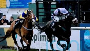 Seamus Mullins looking to Newbury as an option for Moroder