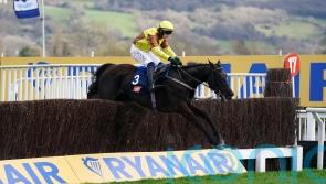 Galopin Des Champs poised for eagerly-awaited return