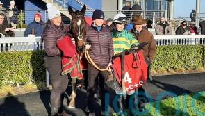 Inthepocket holds on for Grade Two honours