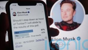 Musk seeks someone 'foolish enough' to take on top Twitter job as he vows to step down