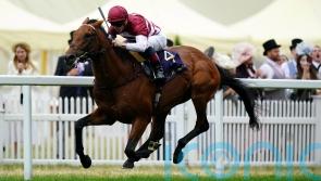 Boughey eyeing Santa Anita assignment for Missed The Cut