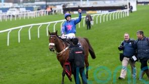 Luke Harvey to take the reins as Cue Card makes Kempton cameo