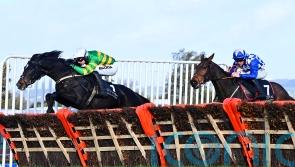 Exciting prospect Cougar all set for Christmas test