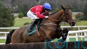 De Bromhead has high hopes King George will suit Envoi Allen