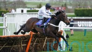 Henderson hoping for Christmas masterclass from Constitution Hill