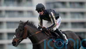 McFabulous chance of another Kauto Star success for Nicholls