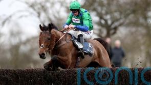 Nicholls hoping Truckers Lodge can give Freddie Gingell poignant Welsh National winner