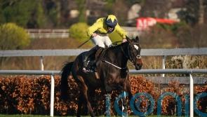 Leopardstown return on the cards for Good Land