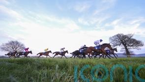 Nicky Martin ends big week with 200-1 surprise at Taunton