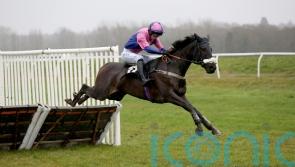 Jupiter Du Gite impresses at Newbury, as Jet Powered beaten