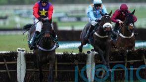 Scott tempted by Stayers&rsquo; Hurdle for versatile Dashel Drasher