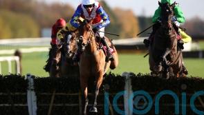 Fehily team lining up dual Sandown assault