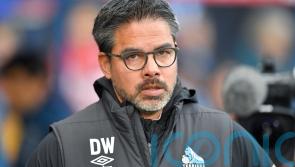 Norwich confirm appointment of David Wagner as club&rsquo;s new head coach