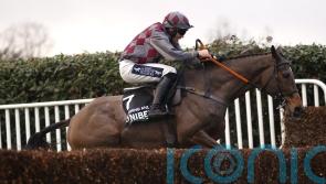 Wishing And Hoping springs 50-1 surprise in veterans&rsquo; final