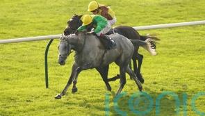 Buzz given Cheltenham entry as he continues on comeback trail