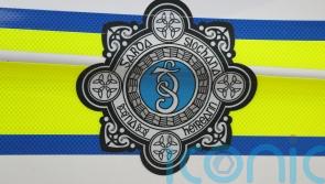 Woman aged in her 60s dies after being struck by van in Co Donegal