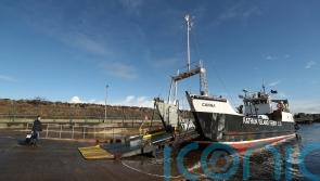 Company operating island ferry ceases trading amid strike action