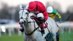 Skelton full of hope for big run from Grey Dawning at Warwick