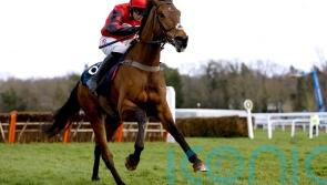 Lorcan Williams has plenty to look forward to on big day at Warwick