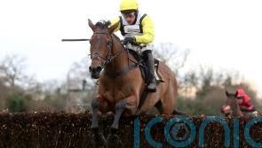 Galia Des Liteaux gallops to taking Warwick triumph