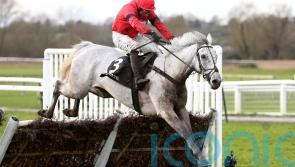 Grey Dawning takes step up in class in his stride